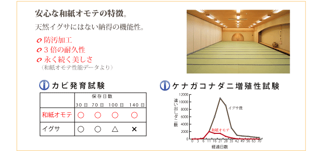 大建和紙表の特徴